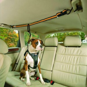 Dog seat belt lead converting between car restraint and short traffic lead