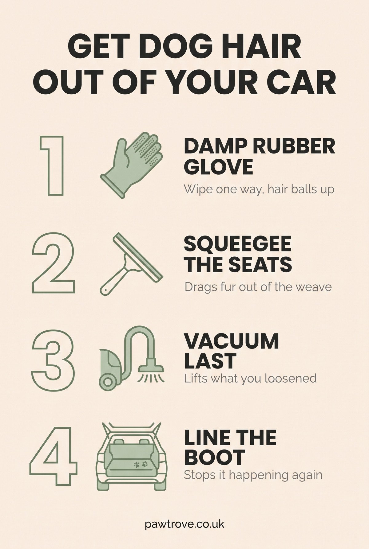 Infographic of four steps to remove dog hair from a car: a damp rubber glove, a squeegee, vacuuming last, and lining the boot