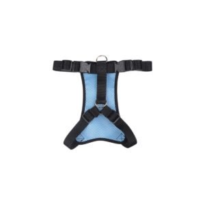 Reflective Dog Seat Belt on a white background