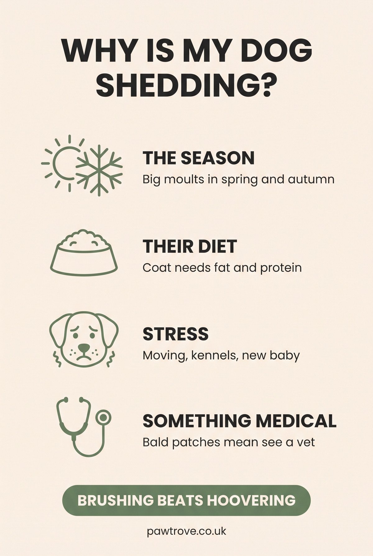 Infographic of four reasons dogs shed: the season, their diet, stress, and something medical